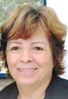 Sirlei Teresinha dos Santos Meneguel